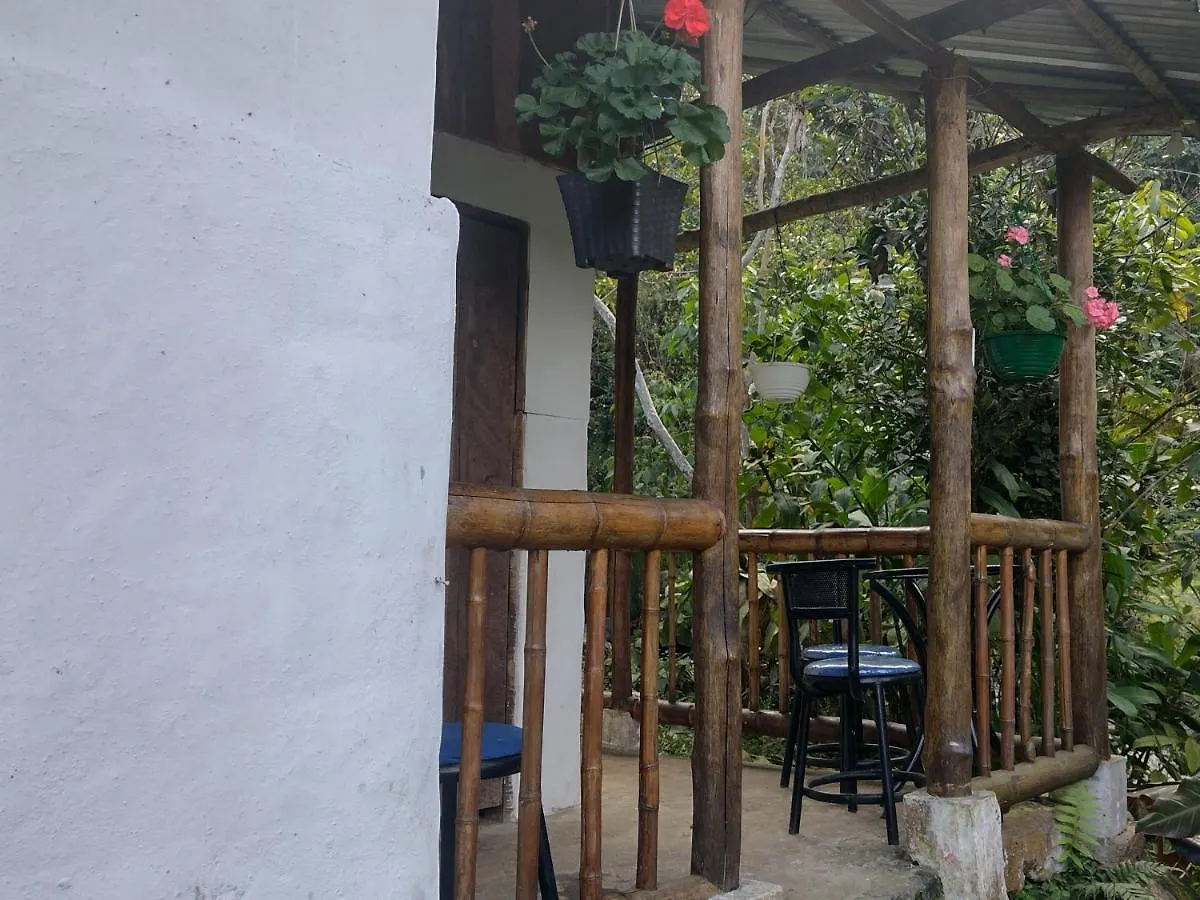 Sapiens House \